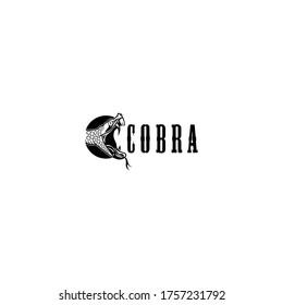 Head Cobra Logo Design Vector