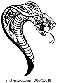 head of the cobra. A poisonous snake in a defensive position. Attacking posture. Black and white tattoo style vector illustration