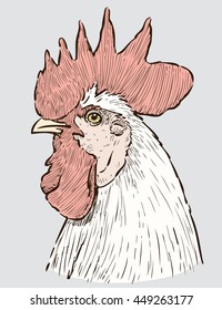 head of cock
