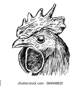 head of a cock sketch - vector
