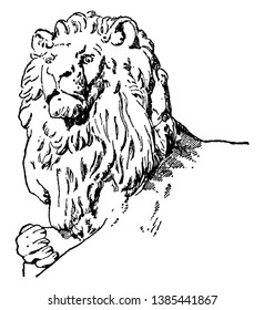 Head of Companion have lion sculpture, it is a natural design, vintage line drawing or engraving illustration.