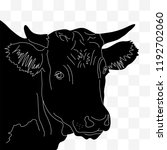 Head of a cow in black and white lines on a transparent background. Red, Irish angus.