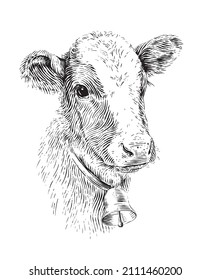 Head Cow Hand Drawing Sketch Engraving Illustration Style