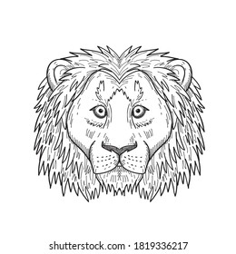 Head of a Coward and Scared Lion Front View Black and White Drawing