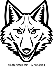 Head of a Coyote Front View Mascot Black and White