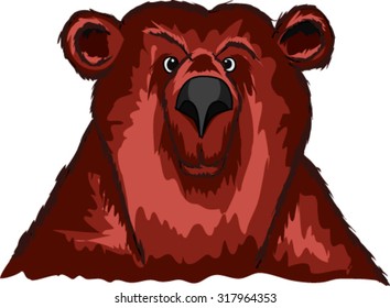 Head a curious bear on a white background, illustration