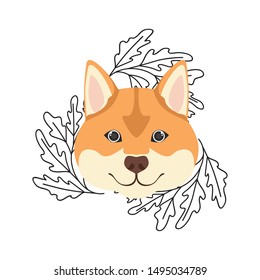 head of cute akita inu dog on white background