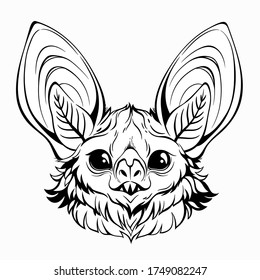 head of a cute bat, with shiny eyes and large ears