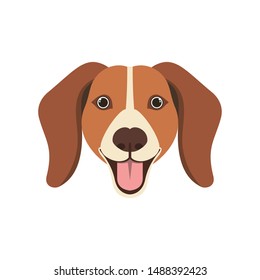 head of cute beagle dog on white background