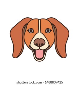 head of cute beagle dog on white background
