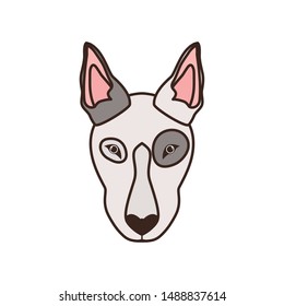 head of cute bull terrier dog on white background