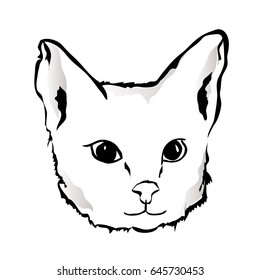 Head of cute cat in black and white colors