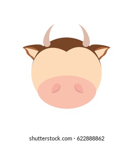 head cute cow animal image