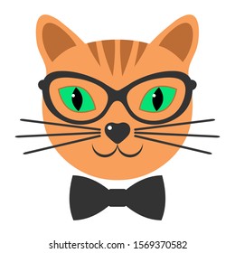head of a cute ginger cat with glasses and a bow on a white background