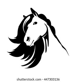 Head of the cute horse