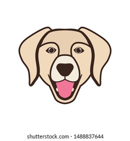 head of cute labrador retriever dog on white background
