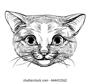 Head cute little kitty, stylish furry animal. The large close up face of a cat, pet emotional affectionate mischievous gaze straight, portrait hand-drawn lines, strokes isolated vector graphic sketch 