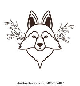 head of cute lobo siberiano dog on white background