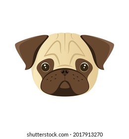 The head of a cute pug on a white background. Dog.