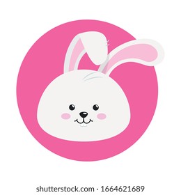head of cute rabbit in frame circular vector illustration design