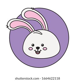 head of cute rabbit in frame circular vector illustration design