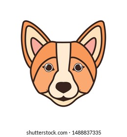 head of cute welsh corgi dog on white background