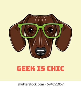 Head Dachshund dog in a geek glasses. Vector illustration.