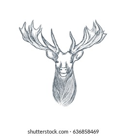 Head of deer illustration sketch hand drawn vector