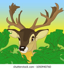 Head of a deer peeking out of green bushes in the forest, cartoon on a natural background, vector