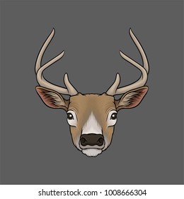 Head of deer, portrait of wild animal hand drawn vector Illustration