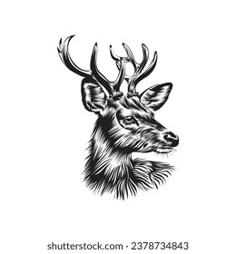 head of a deer Vector Art design