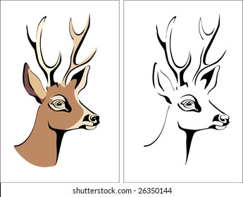 head of a deer vector portrait animal antler beauty