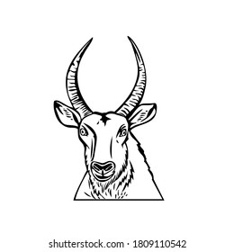 Head of a Defassa Waterbuck Front View Stencil Black and White Retro Style