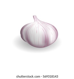 Head delicious fresh garlic on a white background. For use as logos on cards, in printing, posters, invitations, web design and other purposes.