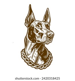 head of doberman dog with a chain necklace around his neck with old engraving style