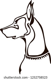 Head of doberman pinscher dog 