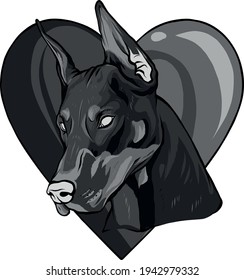 head of Dobermann with heart vector illustration