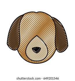 head dog animal pet domestic image