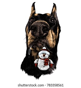 head dog breed Doberman with a rag in the teeth of snowman sketch vector graphics color picture