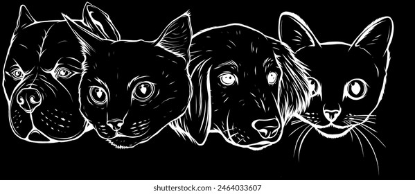 head dog cat in white line on black background