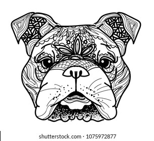 The head of a dog. English bulldog. Drawing manually in vintage style. Meditative coloring. Coloring for children. Arrows, points, patterns.