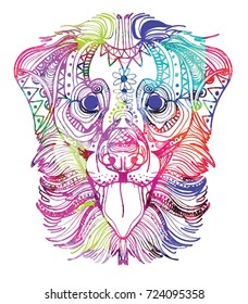 The head of a dog. Labrador retriever. Drawing by hand in vintage style. Meditative coloring. coloring for children. A horse with a long mane. Arrows, points, patterns.