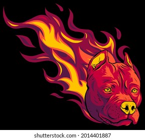 head of dog pitbull with flames vector