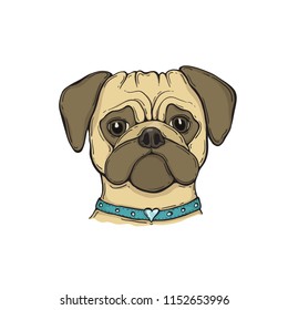 Head Dog pug with the collar, hand-painted portrait. For tshirt, poster, card