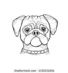 Head Dog pug hand-painted portrait. Black and white. Outline. For tshirt, poster, card