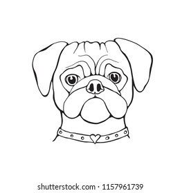 Head Dog pug hand-painted portrait. Black and white. Outline. For tshirt, poster, card