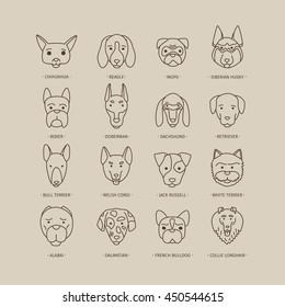 Head of dog and puppy set. Vector hand drawn dog breeds