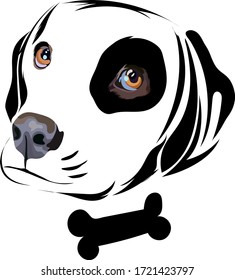 head dog realistic face vector 