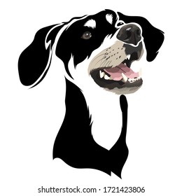 head dog realistic face vector 