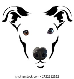vectorial de cara realista